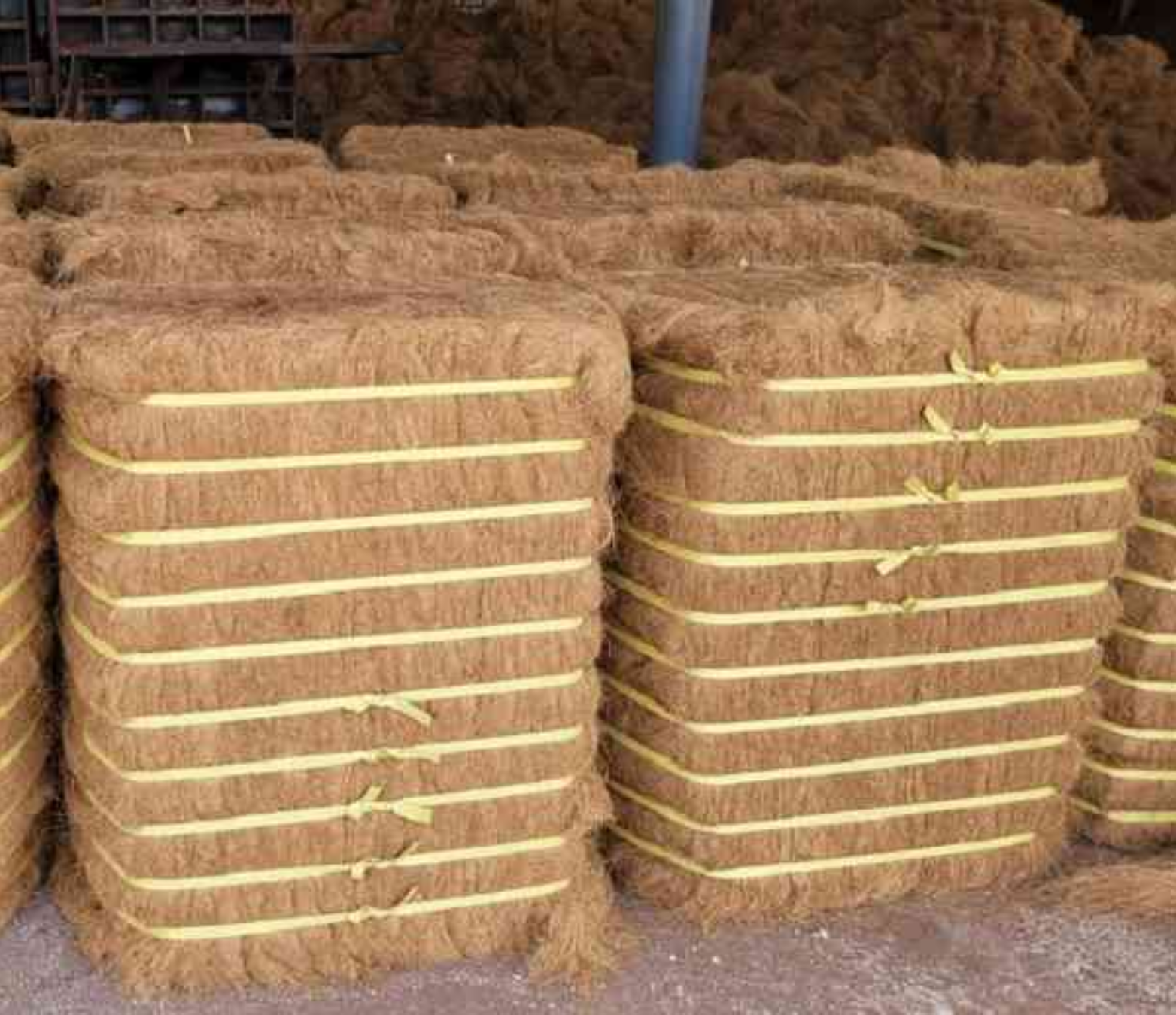 Coconut Fiber 2