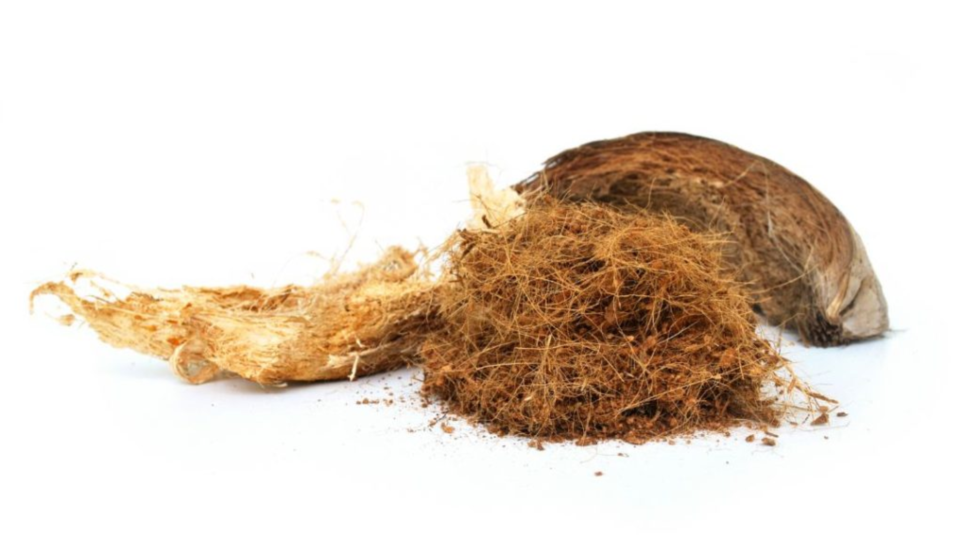 Coconut Fiber 6