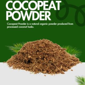 coconut powder (coco peat) hi quality