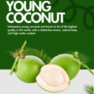 coconut charcoal briquettes