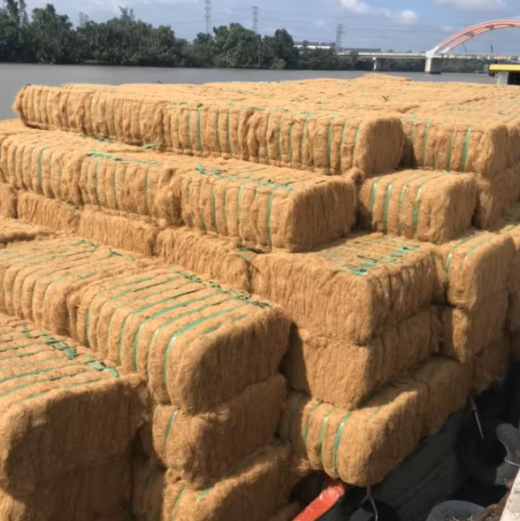 Coconut Fiber coconut fiber
